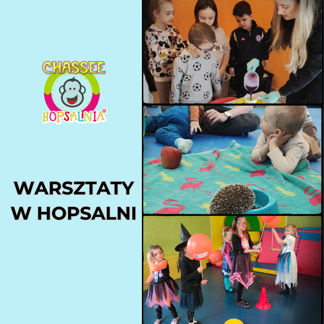 WARSZTATY-W-HOPSALNI-1